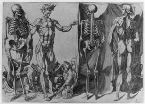 DOMENICO DEL BARBIERE, “DOS HOMBRES DESOLLADOS Y SUS ESQUELETOS” (CA. 1540-1545)